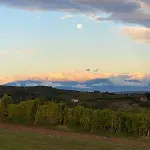 Langhe Da Cartolina *