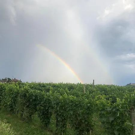 Langhe Da Cartolina Mango