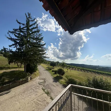Langhe Da Cartolina Mango