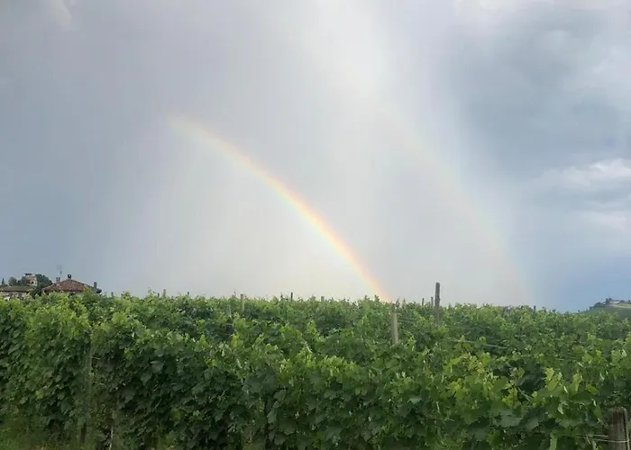Langhe Da Cartolina Mango