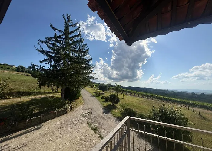 Langhe Da Cartolina Mango